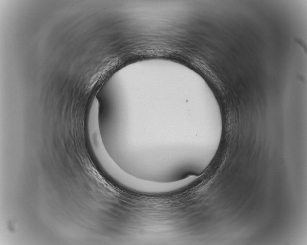 X0000102390585200808291425