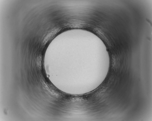 X0000102390586200808291425