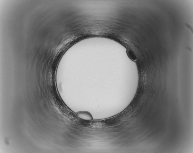 X0000102390587200808291425