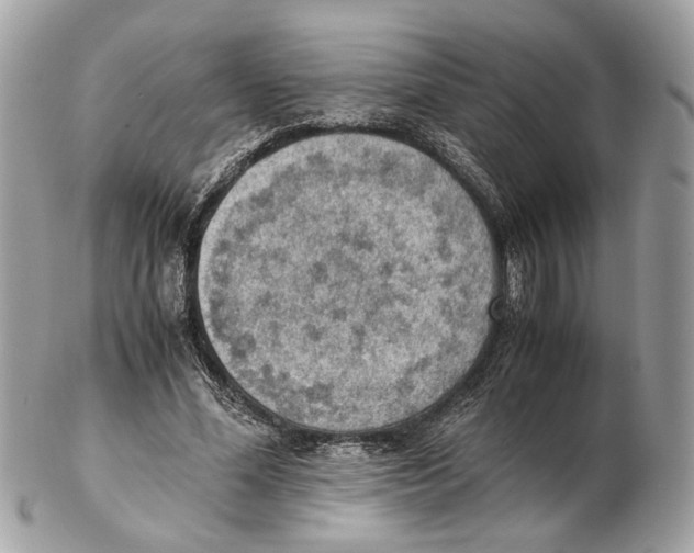 X0000102390588200808291425