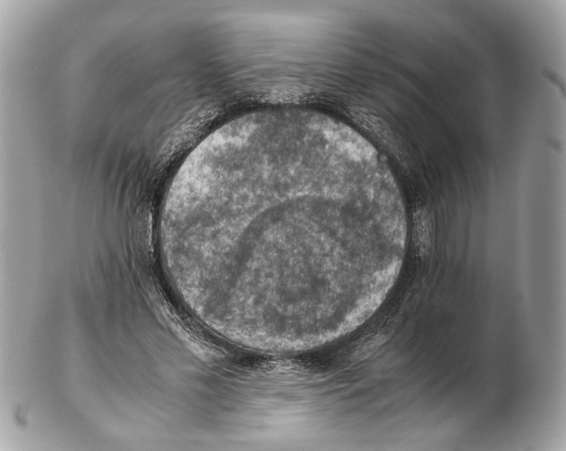 X0000102390589200808291425