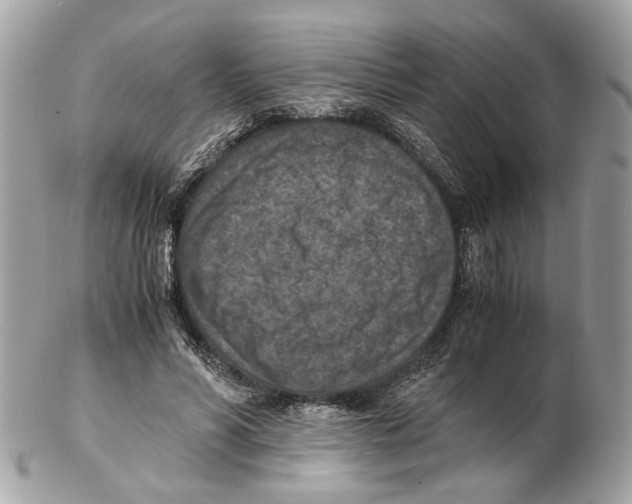 X0000102390590200808291425