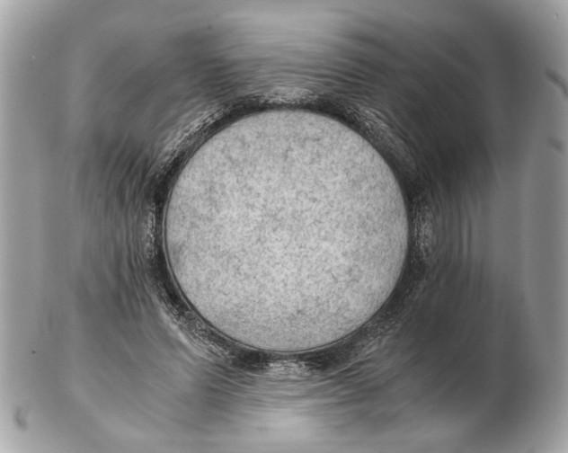 X0000102390591200808291425