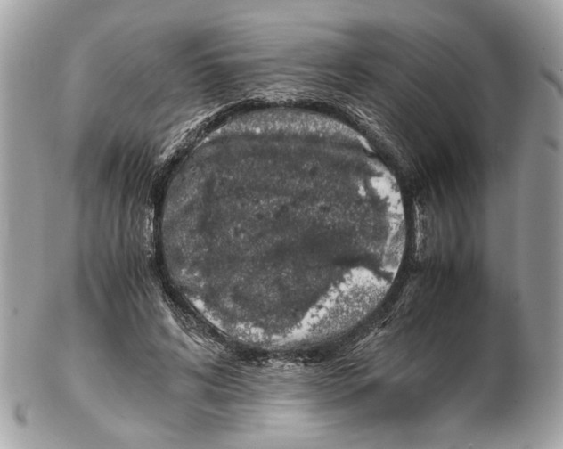 X0000102390592200808291425
