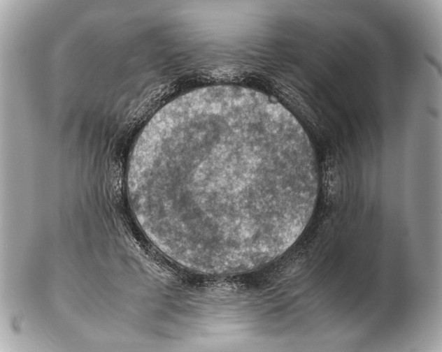 X0000102390593200808291425