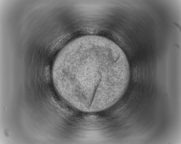 X0000102390594200808291425