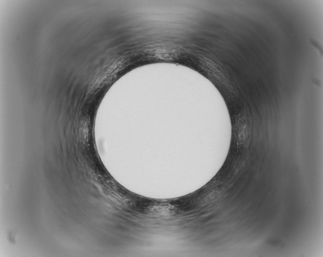 X0000102390595200808291425