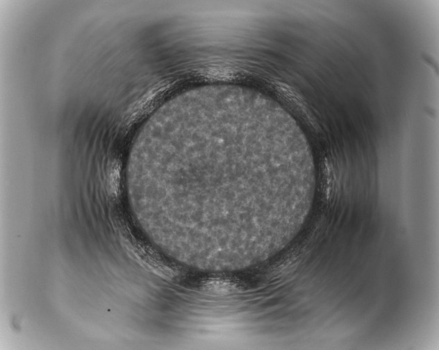 X0000102390596200808291425