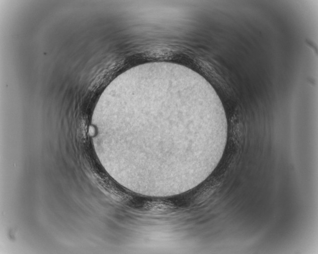 X0000102390597200808291425