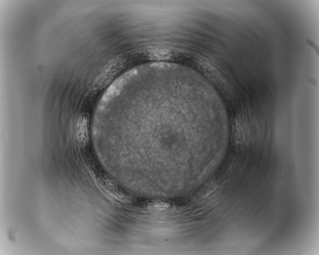 X0000102390598200808291425