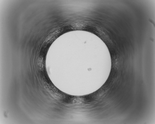 X0000102390599200808291425