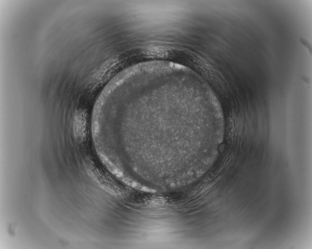 X0000102390600200808291425