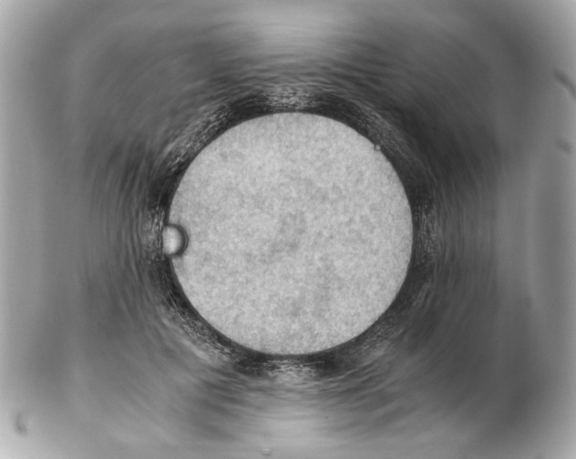 X0000102390601200808291425