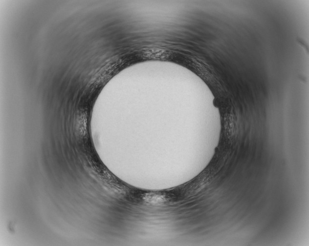 X0000102390602200808291425