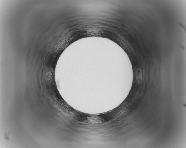X0000102390603200808291425