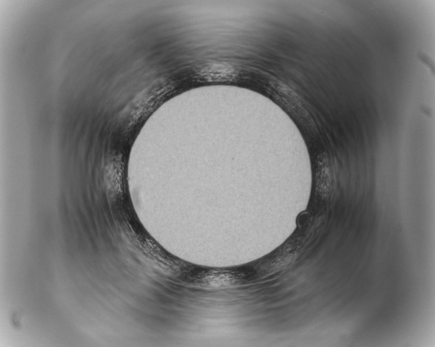 X0000102390604200808291425