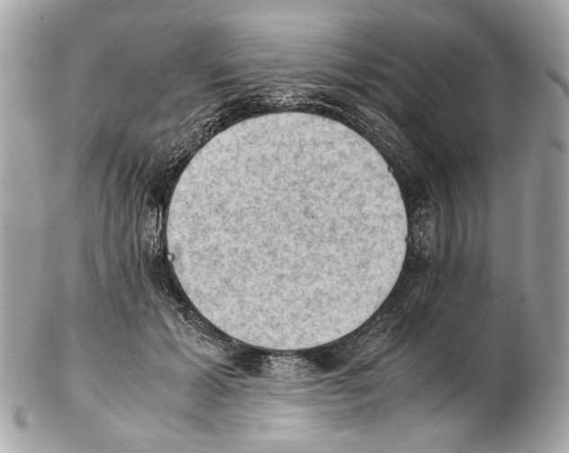 X0000102390605200808291425
