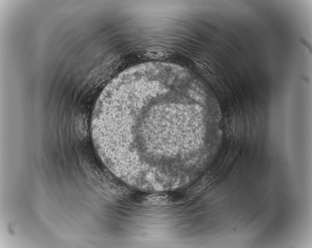 X0000102390606200808291425