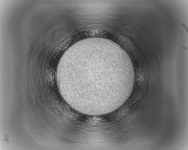 X0000102390607200808291425