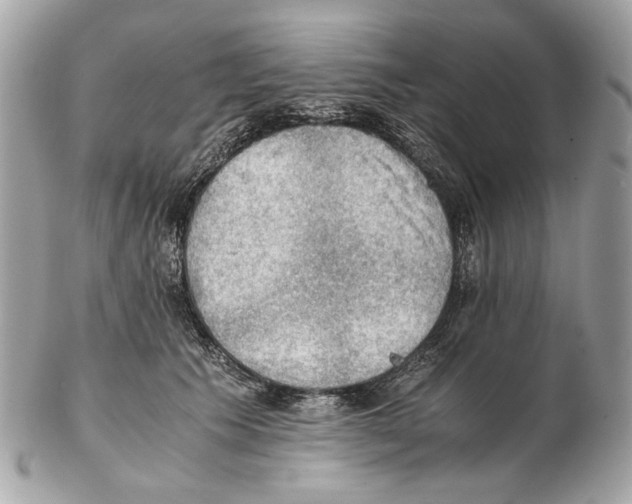X0000102390609200808291425
