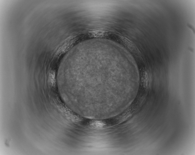 X0000102390610200808291425