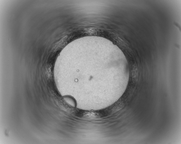 X0000102390611200808291425
