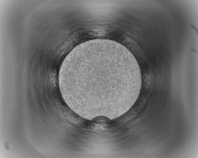 X0000102390612200808291425