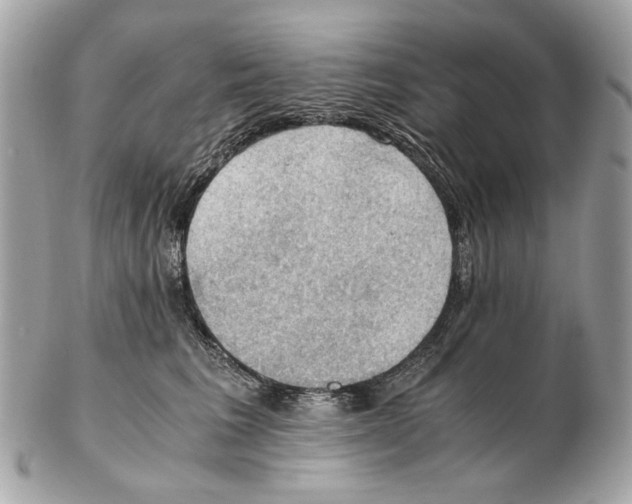 X0000102390613200808291425