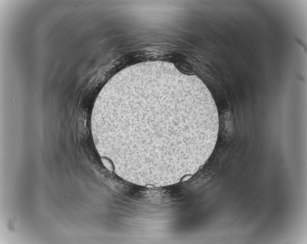 X0000102390615200808291425