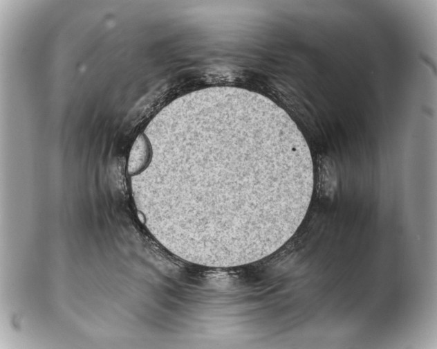 X0000102390616200808291425