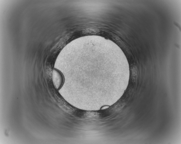 X0000102390617200808291425