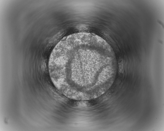 X0000102390618200808291425