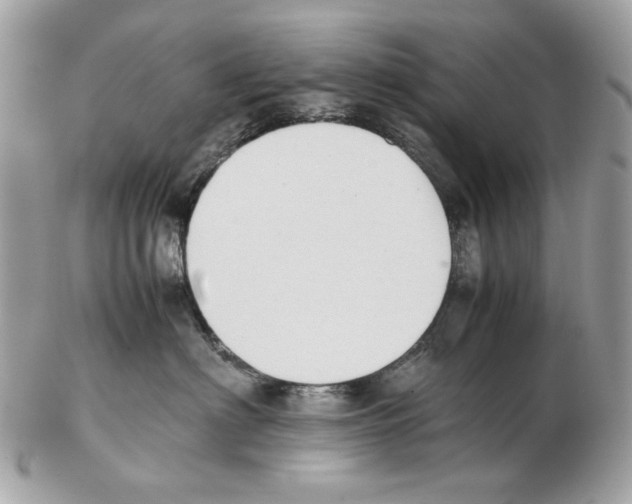 X0000102390622200808291425