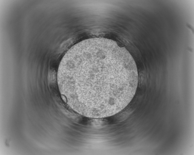 X0000102390623200808291425