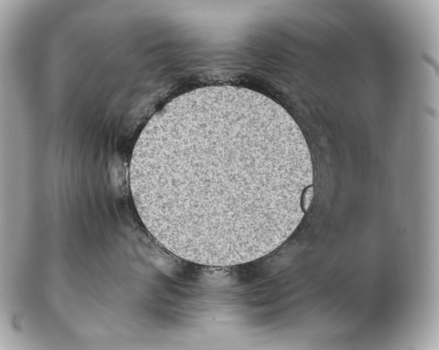 X0000102390624200808291425