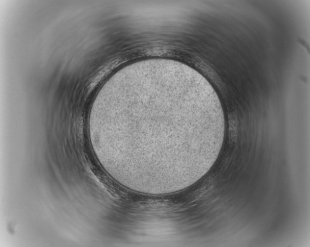 X0000102390626200808291424
