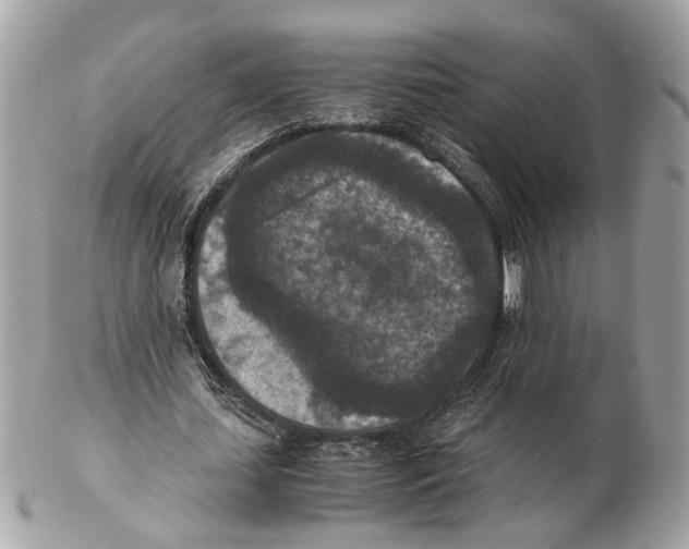 X0000102390627200808291424