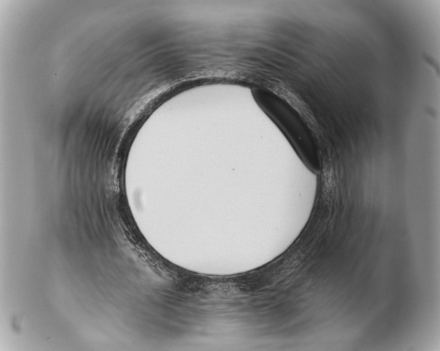 X0000102390628200808291424