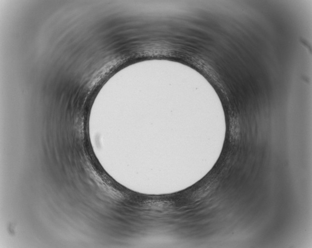 X0000102390629200808291424
