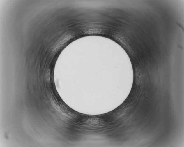 X0000102390631200808291424