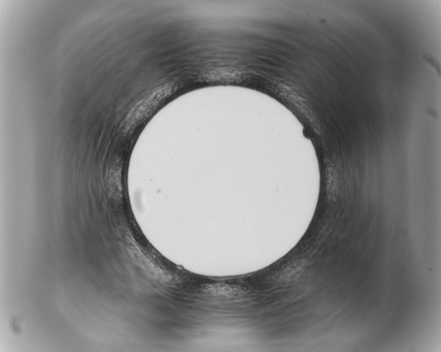 X0000102390633200808291424