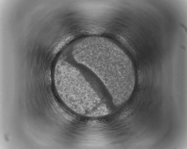 X0000102390634200808291424