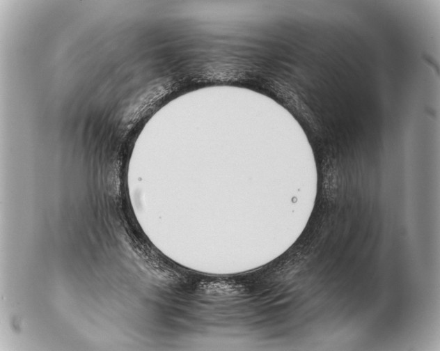 X0000102390635200808291424