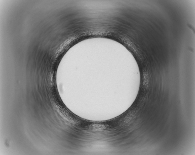 X0000102390636200808291424