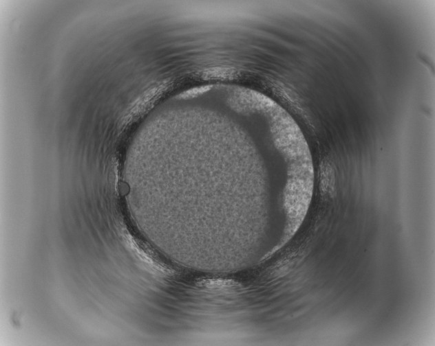 X0000102390637200808291424