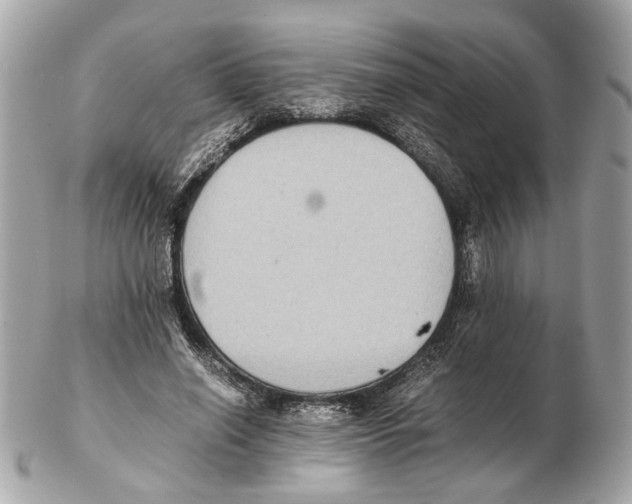 X0000102390638200808291424