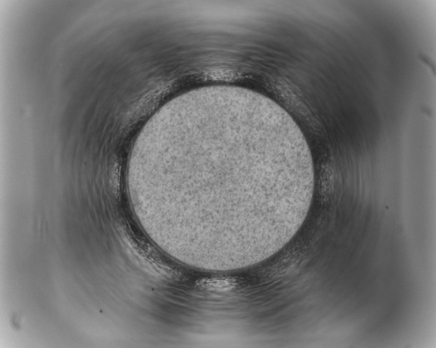 X0000102390639200808291424