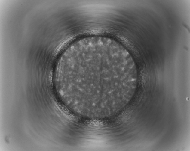 X0000102390640200808291424