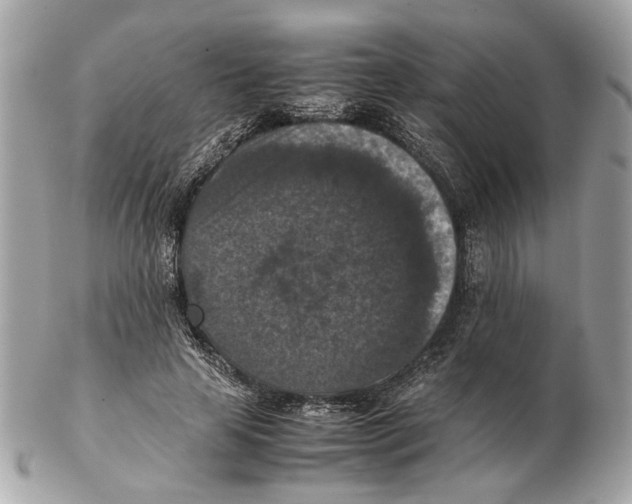 X0000102390641200808291424