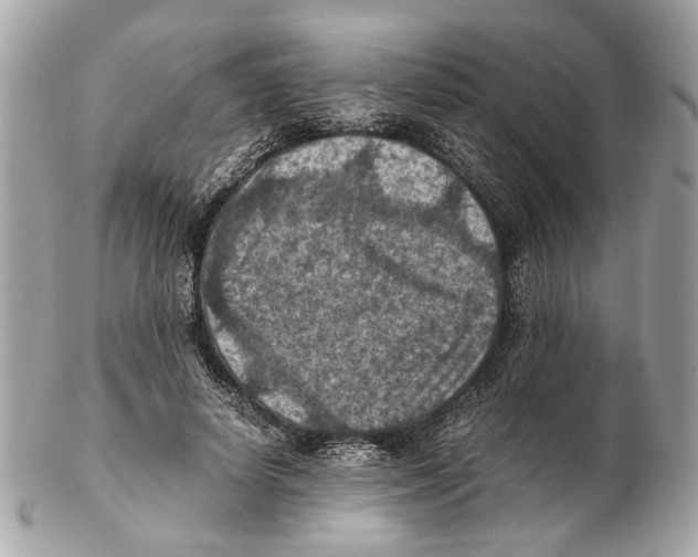 X0000102390642200808291424